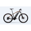 Mid Motor Affordable Electric Bike